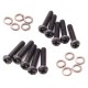Viti Bombate 3x14 Per Gearbox Ver2 Aip