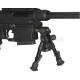Spring Rifle Ares MSR-WR Takedown Sniper