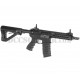 CM16 SRS G&G