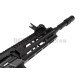 CM16 Raider L 2.0E Black G&G