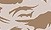 Deser Camo