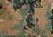 Marpat